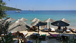 Xenia beach'in fotoğrafı geniş bir kıyı şeridi ile birlikte