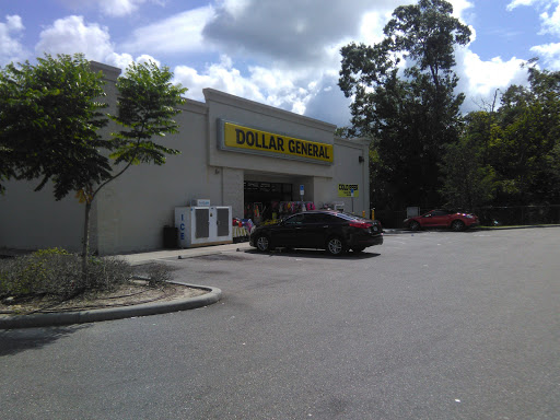 Home Goods Store «Dollar General», reviews and photos, 620 Ronald Reagan Pkwy, Davenport, FL 33896, USA