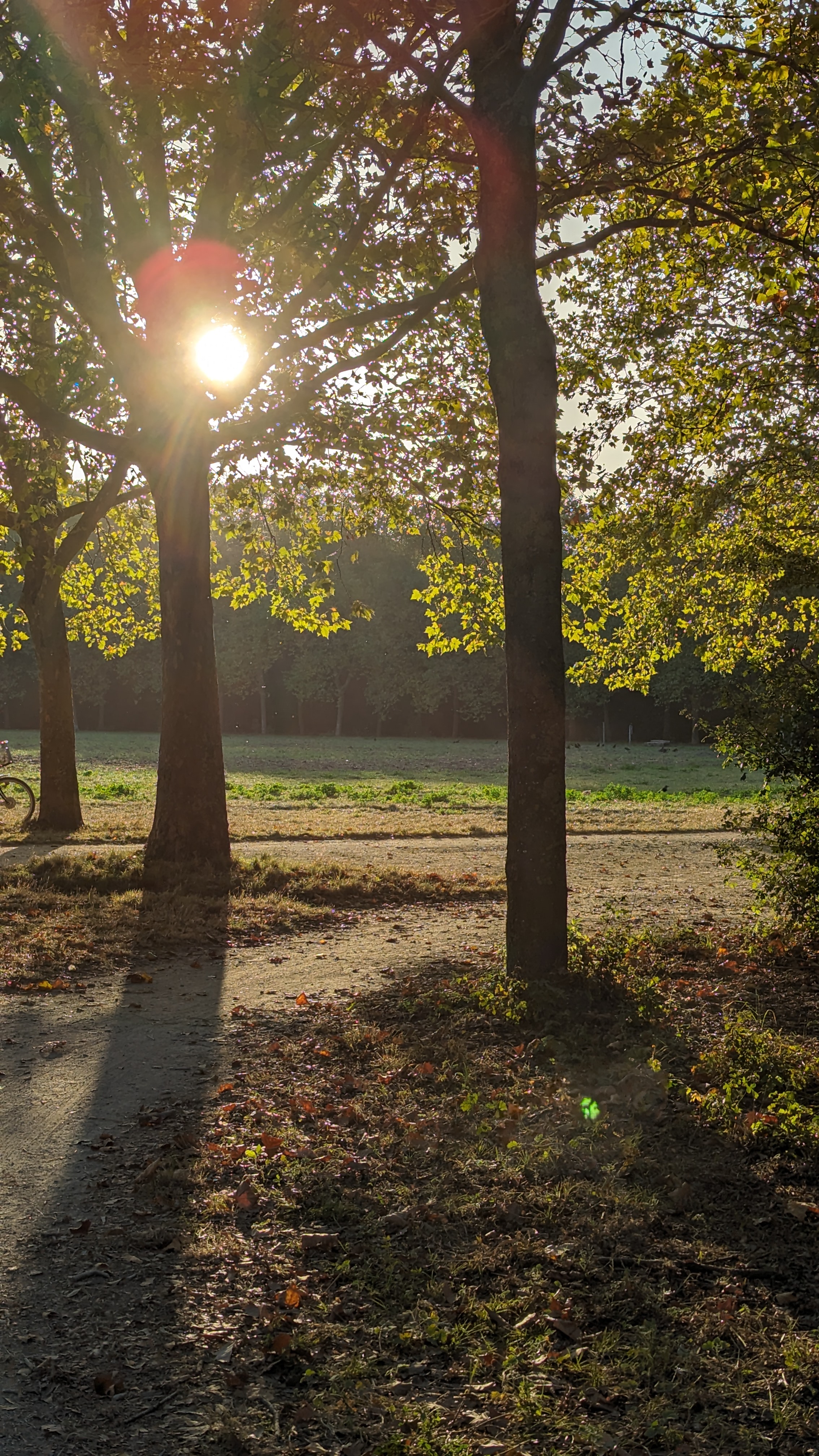 Photo n° 7 de l'avis de Alessandro.t fait le 09/03/2024 à 01:48