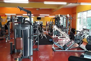 SURIA GYM GROUP SDN BHD & LADY'S GYM image