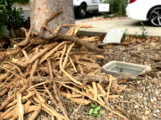 Plumber «D. Martel Plumbing Service & Repair», reviews and photos, 1136 Suncast Ln #6, El Dorado Hills, CA 95762, USA