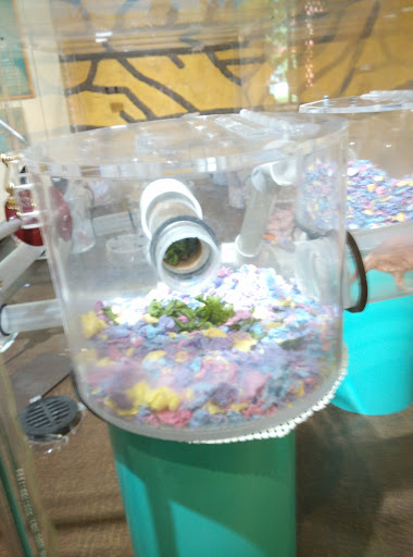 Imax Theater «PACCAR IMAX Theater», reviews and photos, 200 2nd Ave N, Seattle, WA 98109, USA