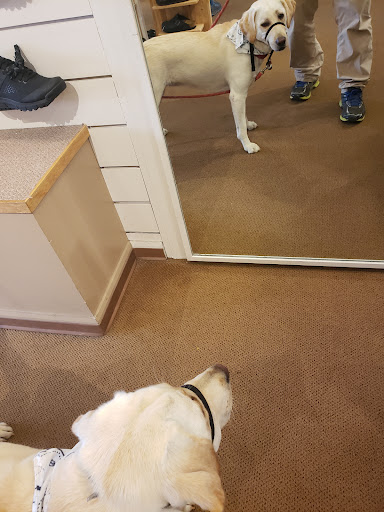 Shoe Store «Tops For Shoes», reviews and photos, 27 N Lexington Ave, Asheville, NC 28801, USA