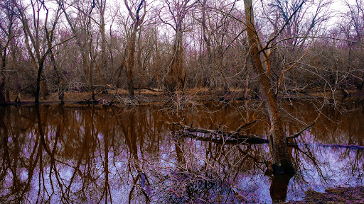 Learning Center «Trailside Museum of Natural History», reviews and photos, 738 Thatcher Ave, River Forest, IL 60305, USA