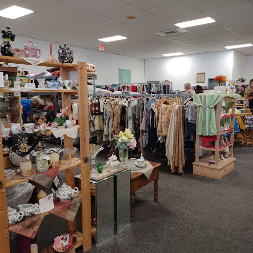 Thrift Store «Orphans Rock Thrift Shop», reviews and photos, 4001 N Highway 19A, Mt Dora, FL 32757, USA