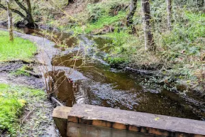 Mill Creek Community Assoc's Nature Preserve (Private) image