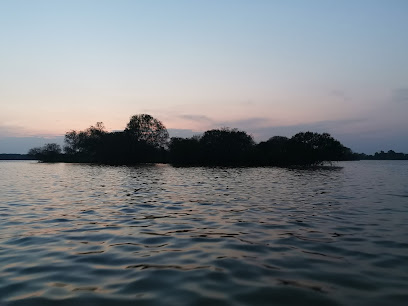 Teluk Intan Firefly Marvels River Cruise Jetty No. 1