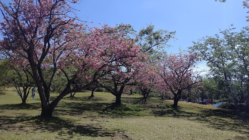 ありえ俵石自然運動公園