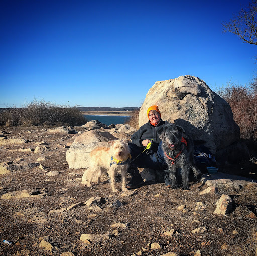 Pet Supply Store «The Natural Pet Outlet», reviews and photos, 3380 Fairfield Ave, Bridgeport, CT 06605, USA