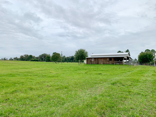 Real Estate Agency «Keller Williams Realty New Tampa», reviews and photos, 18302 Highwoods Preserve Pkwy #110, Tampa, FL 33647, USA