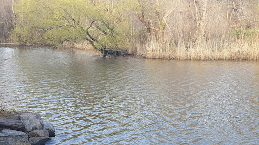 Golf Course «Van Cortlandt Park Golf Course», reviews and photos, 115 Van Cortlandt Park S, Bronx, NY 10471, USA