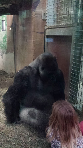 Golf Club «Muirfield Village Golf Club», reviews and photos, 5750 Memorial Dr, Dublin, OH 43017, USA