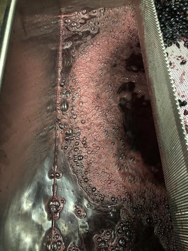 Winery «Tara Vineyard and Winery», reviews and photos, 8603 Co Rd 3914, Athens, TX 75752, USA