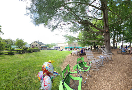 Vineyard «Boordy Vineyards», reviews and photos, 12820 Long Green Pike, Hydes, MD 21082, USA