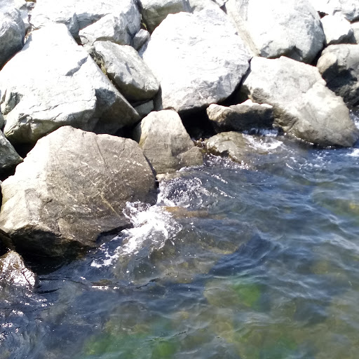 State Park «Colt State Park», reviews and photos, Route 114, Bristol, RI 02809, USA