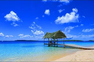 Treasure Island Tonga image