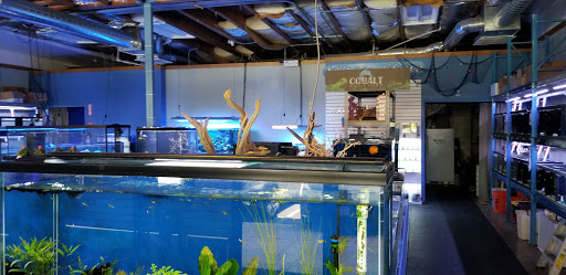 Tropical Fish Store «Shipwreck Cove Custom Aquariums», reviews and photos, 215 S El Camino Real, Encinitas, CA 92024, USA