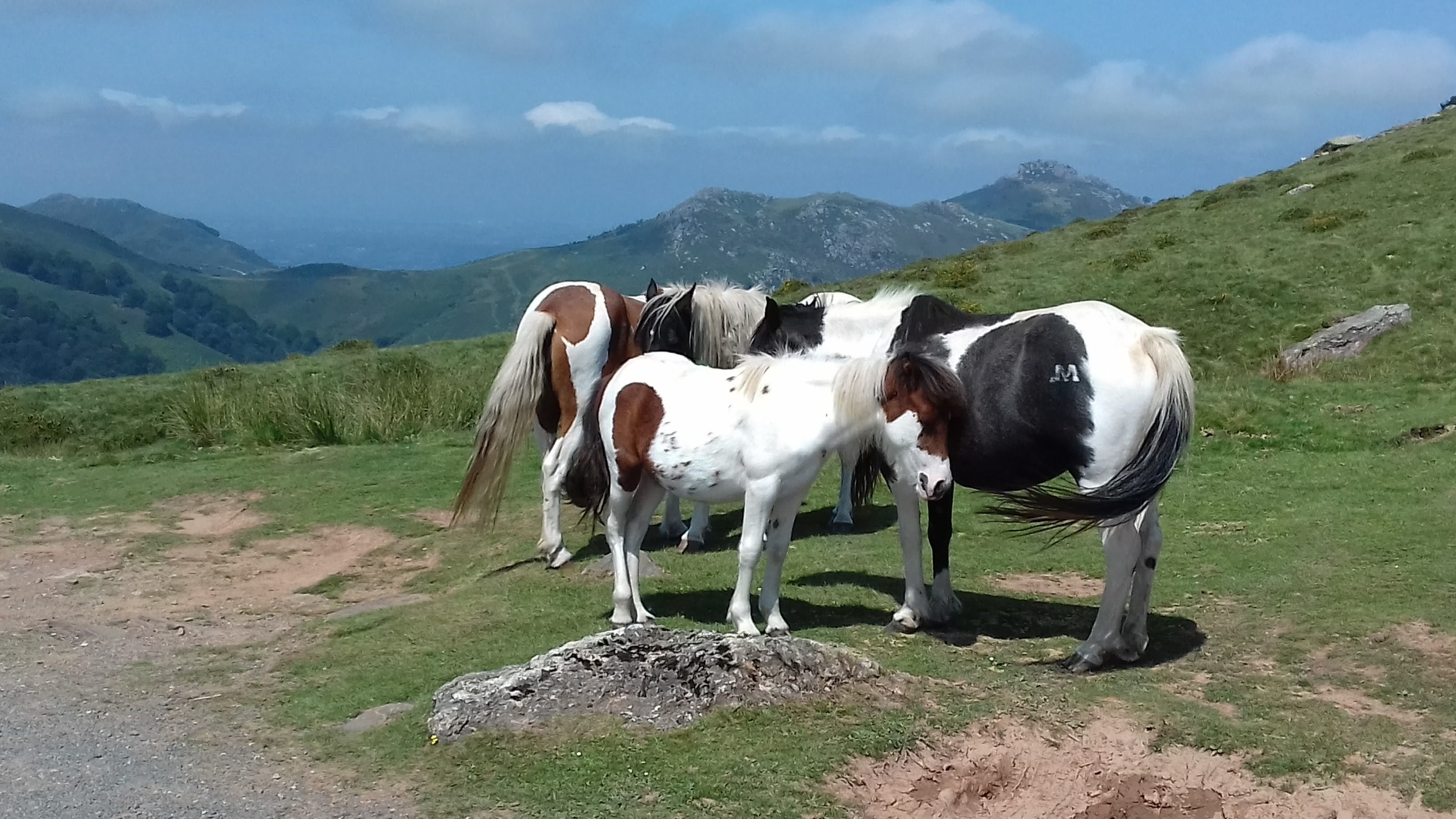 Photo n° 4 de l'avis de Breizh.b fait le 31/08/2019 à 12:51