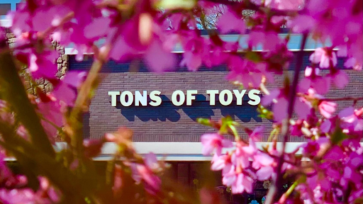 Toy Store «Tons of Toys», reviews and photos, 1 Mine Brook Rd, Bernardsville, NJ 07924, USA