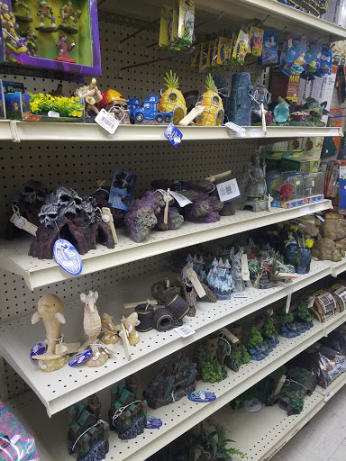 Pet Supply Store «Petland Discounts - Pelham», reviews and photos, 2175 White Plains Rd, Bronx, NY 10462, USA