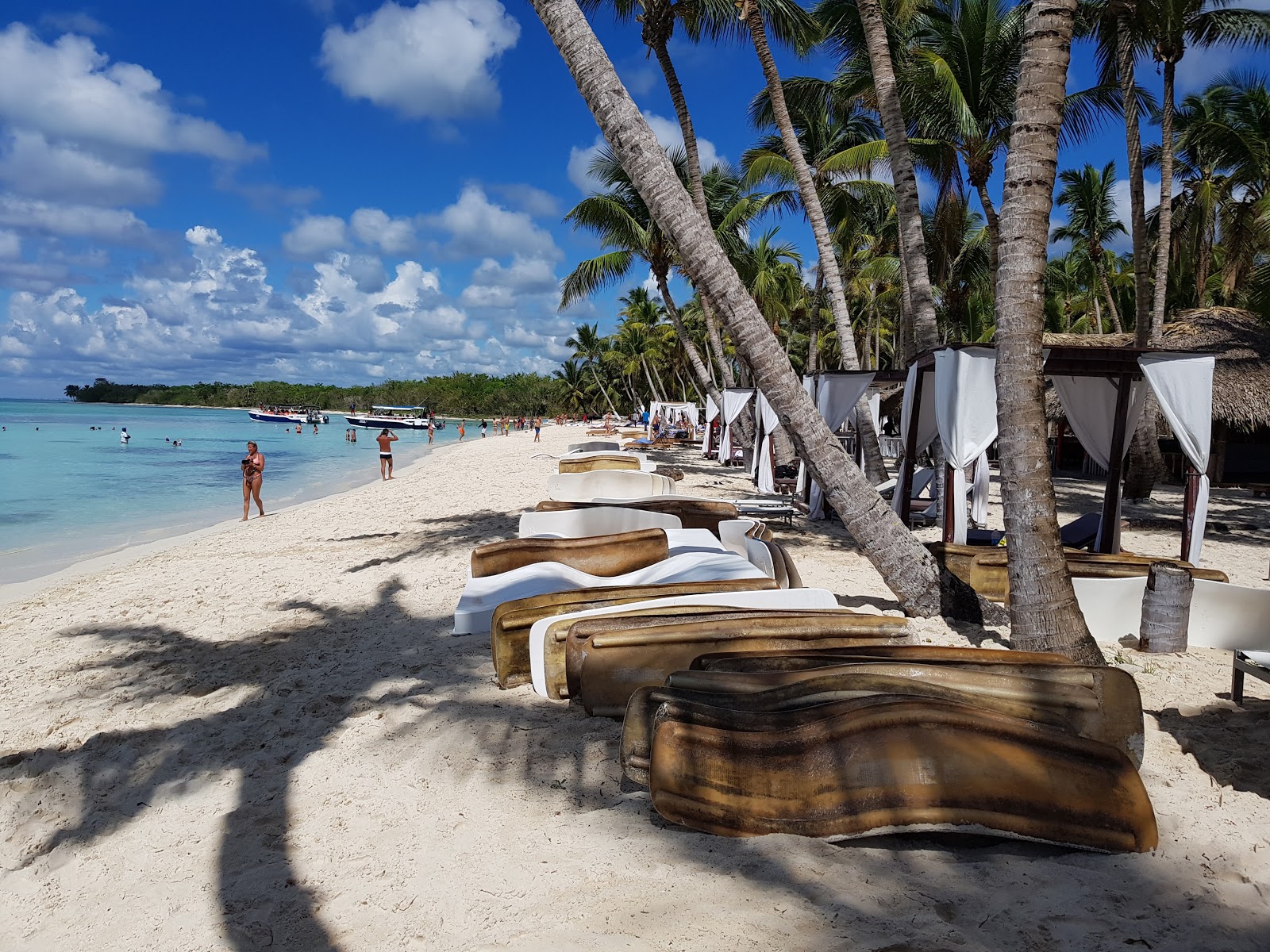 Valokuva Palmilla Rantaista. pinnalla turkoosi puhdas vesi:n kanssa