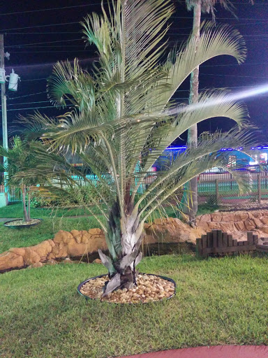 Miniature Golf Course «Golf N Gator», reviews and photos, 6355 N Atlantic Ave, Cape Canaveral, FL 32920, USA