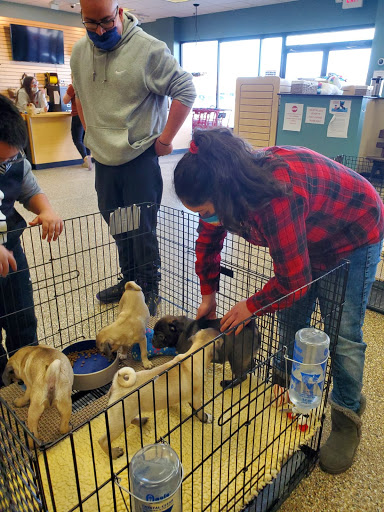 Pet Supply Store «Pet Ranch», reviews and photos, 3823 E 120th Ave, Denver, CO 80233, USA