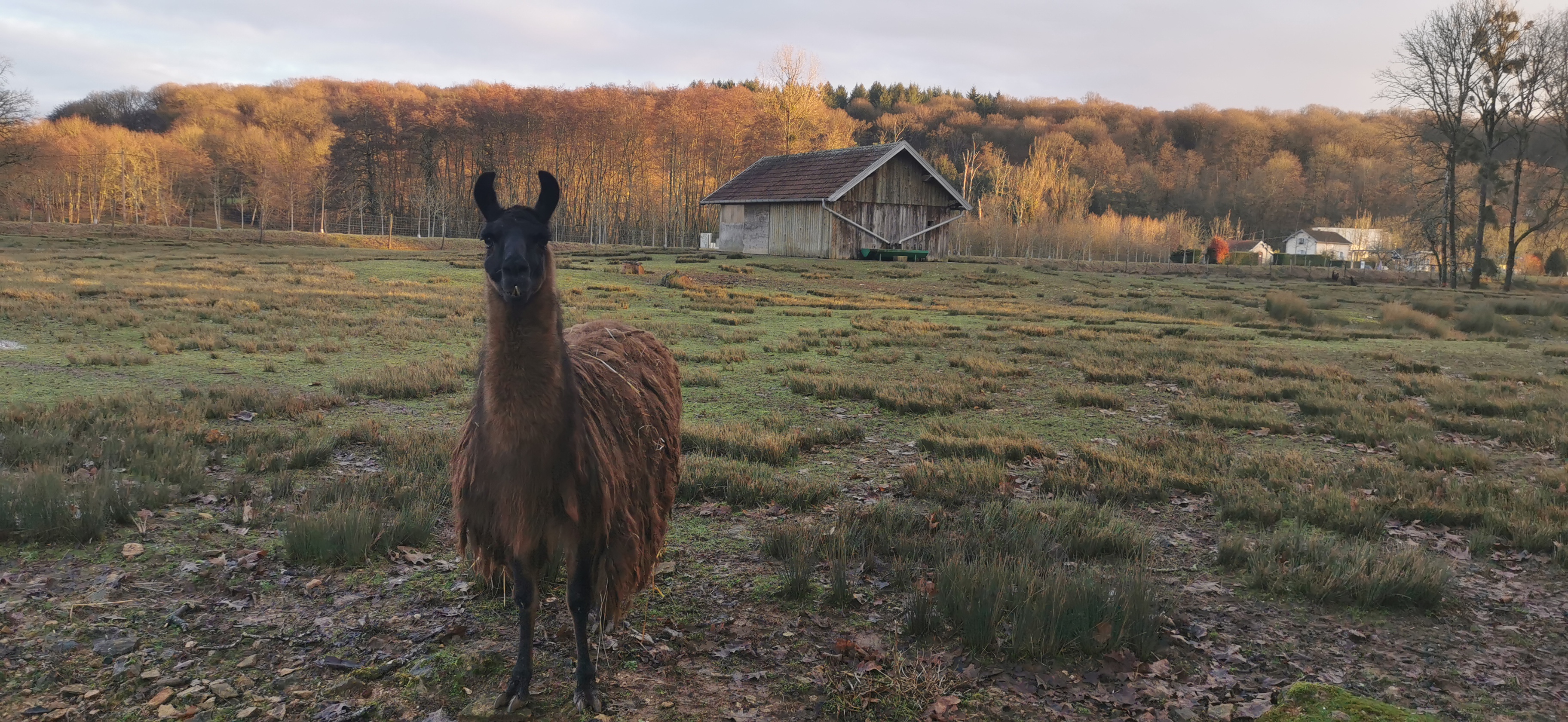Photo n° 5 de l'avis de Geoff.l fait le 29/12/2019 à 15:32
