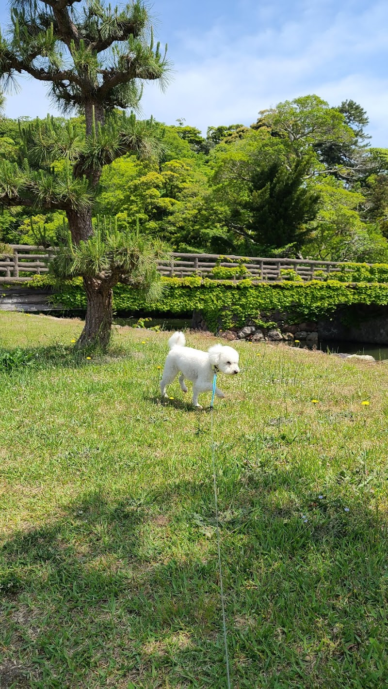 島根県庁駐車場