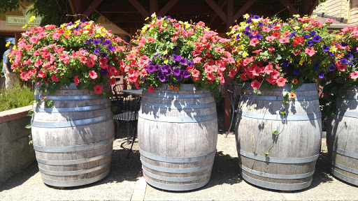 Winery «Erath Winery», reviews and photos, 9409 Northeast Worden Hill Road, Dundee, OR 97115, USA