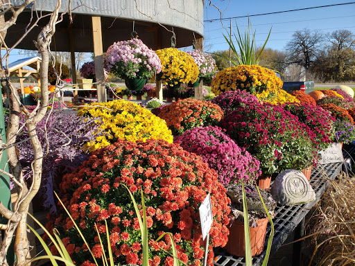 Thrift Store «Village General Store», reviews and photos