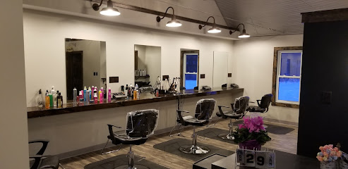 MANE ROOT 250 SALON