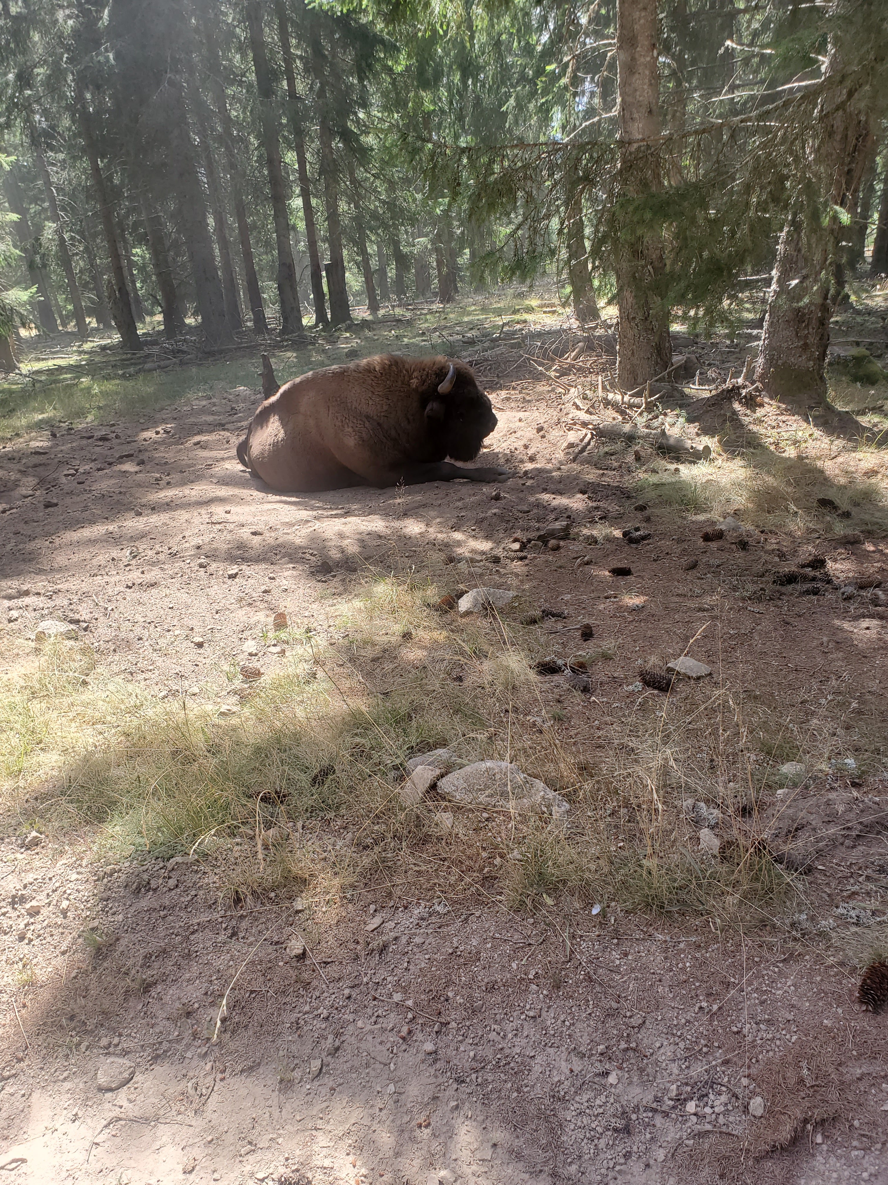 Photo n° 2 de l'avis de Thomas.u fait le 27/08/2023 à 12:24