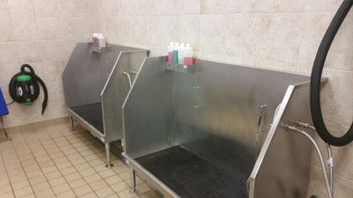 Pet Supply Store «Pet Supplies Plus», reviews and photos, 4524 Heritage Trace Pkwy, Fort Worth, TX 76244, USA