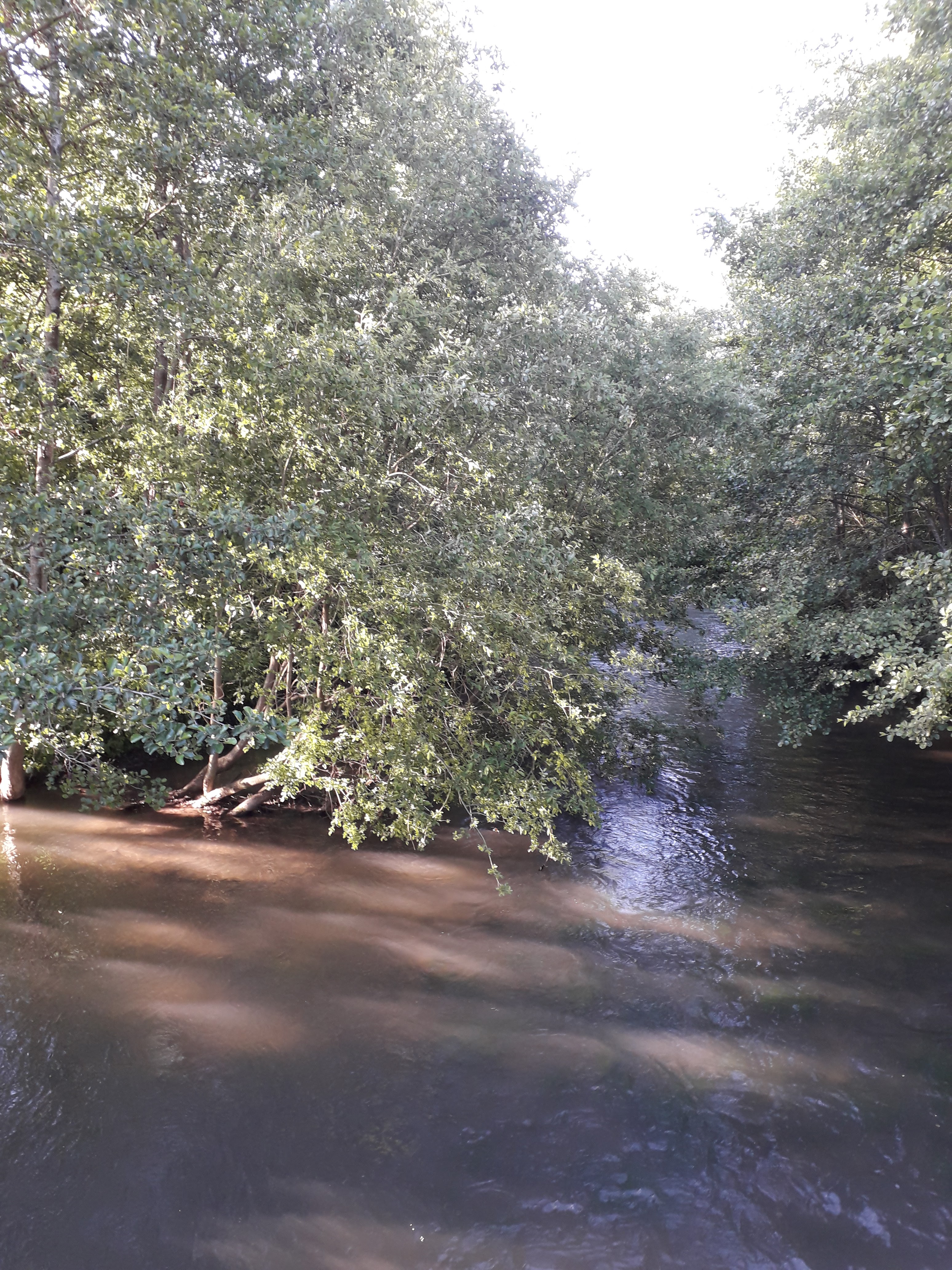 Photo n° 4 de l'avis de Aurélie.a fait le 16/06/2019 à 06:59