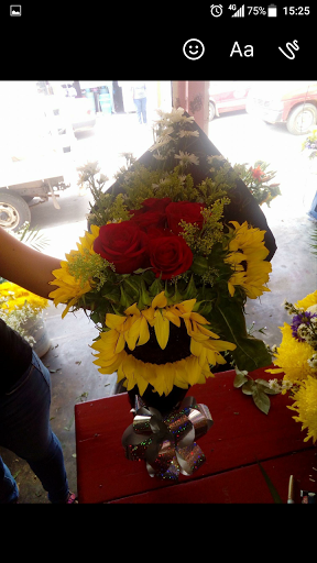Florería Los Girasoles – Juan Rodríguez Clara