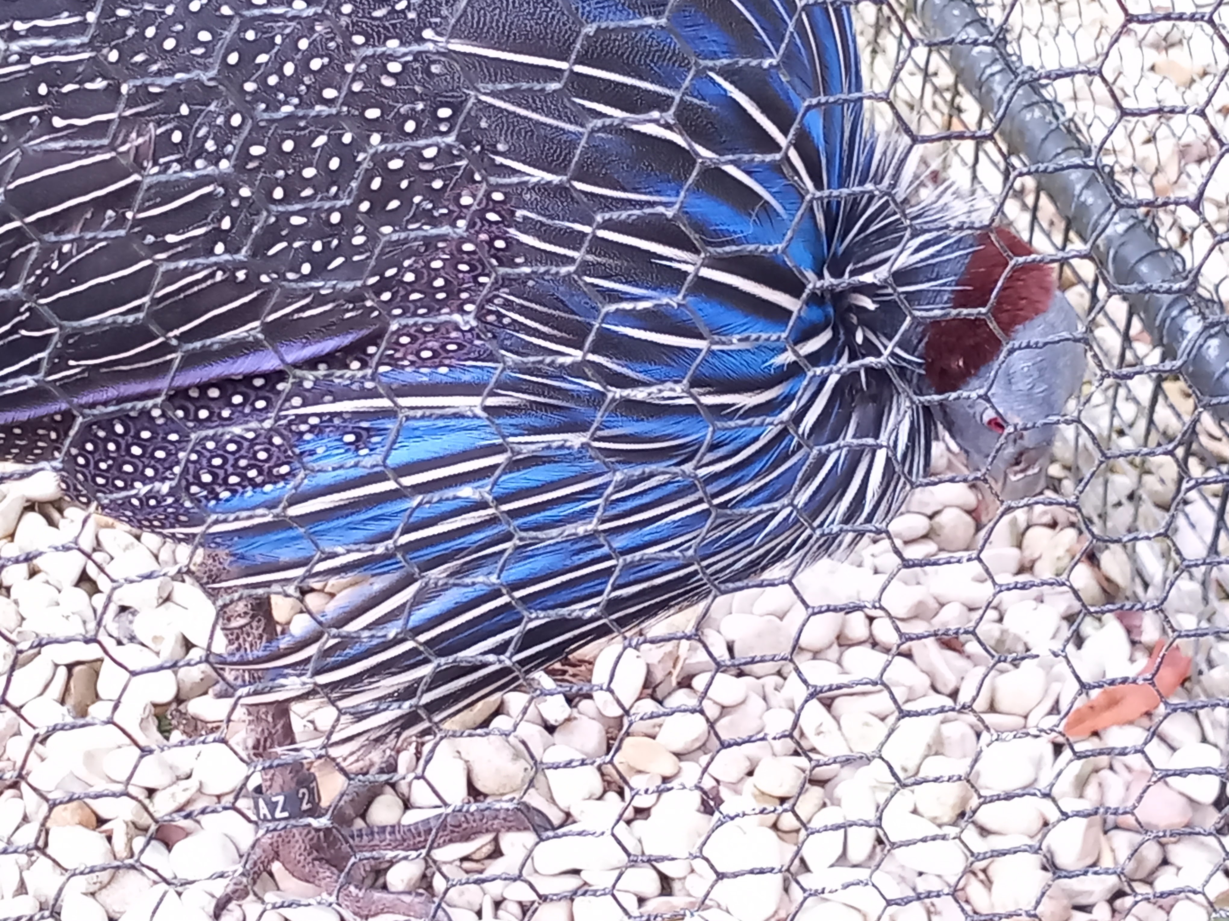 Photo n° 21 de l'avis de Julien.a fait le 11/10/2023 à 18:47