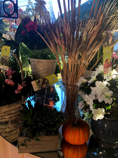 Florist «Grohe Florists», reviews and photos, 1313 McDonald Ave, Santa Rosa, CA 95404, USA