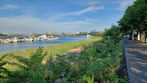 Stadium «Citi Field», reviews and photos, 123-01 Roosevelt Ave, Queens, NY 11368, USA