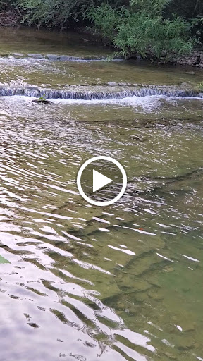 Park «Barfield Crescent Park», reviews and photos, 697 Veterans Pkwy, Murfreesboro, TN 37128, USA