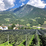 Photo n°4 de l'avis de Erica.s fait le 26/07/2020 à 20:59 sur le  VillaVerde à Algund