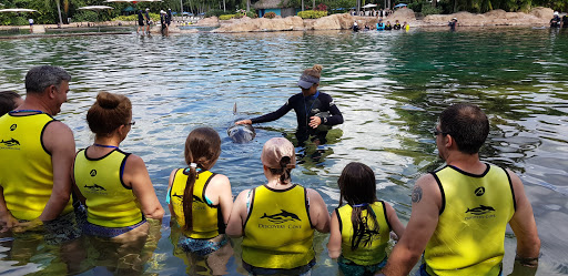 Water Park «Discovery Cove», reviews and photos, 6000 Discovery Cove Way, Orlando, FL 32821, USA
