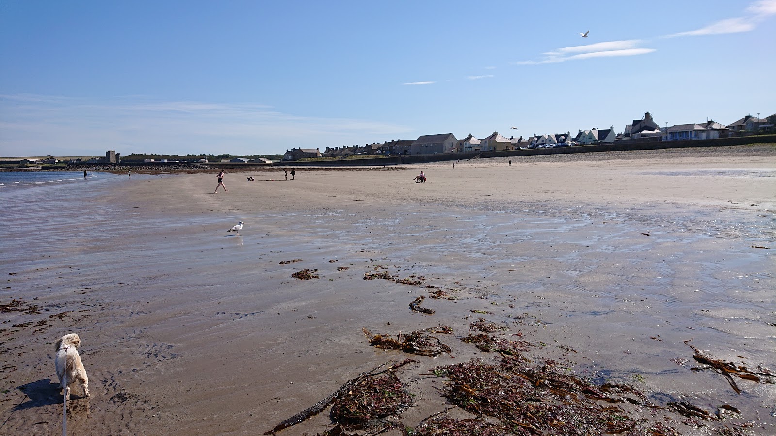 Thurso Beach'in fotoğrafı düz ve uzun ile birlikte