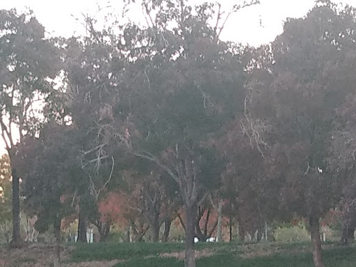 Park «Rainbow Family Park», reviews and photos, 7151 W Oakey Blvd, Las Vegas, NV 89117, USA