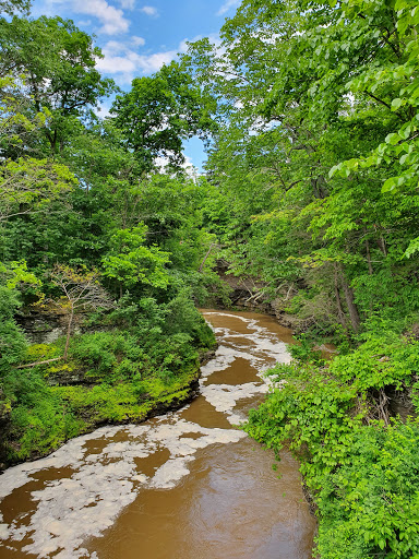 Cornell Botanic Gardens image 8