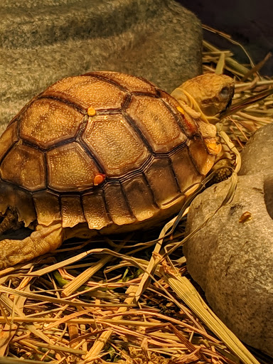 Pet Store «Animal House», reviews and photos, 7869 Hamilton Ave, Cincinnati, OH 45231, USA