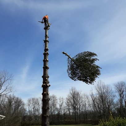 Marshall Tree Service