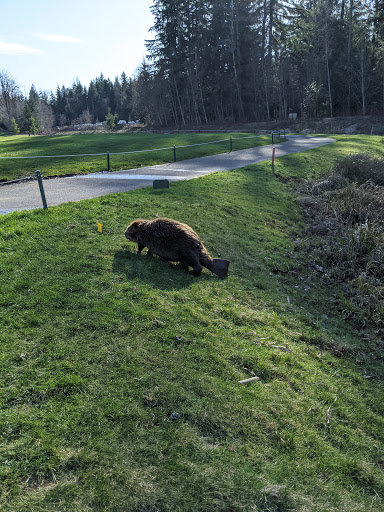 Golf Club «The Golf Club At Redmond Ridge», reviews and photos, 11825 Trilogy Pkwy NE, Redmond, WA 98053, USA