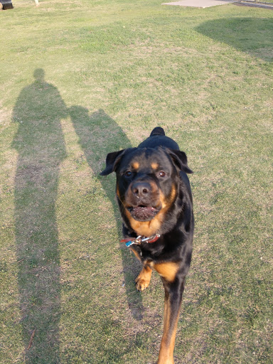 Park «Central Park», reviews and photos, 2960 Esplanade, Grand Prairie, TX 75052, USA