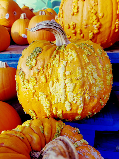 Health Food Store «Sprouts Farmers Market», reviews and photos, 5130 Peachtree Pkwy #100, Peachtree Corners, GA 30092, USA